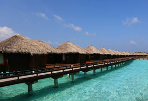 Fauna marina